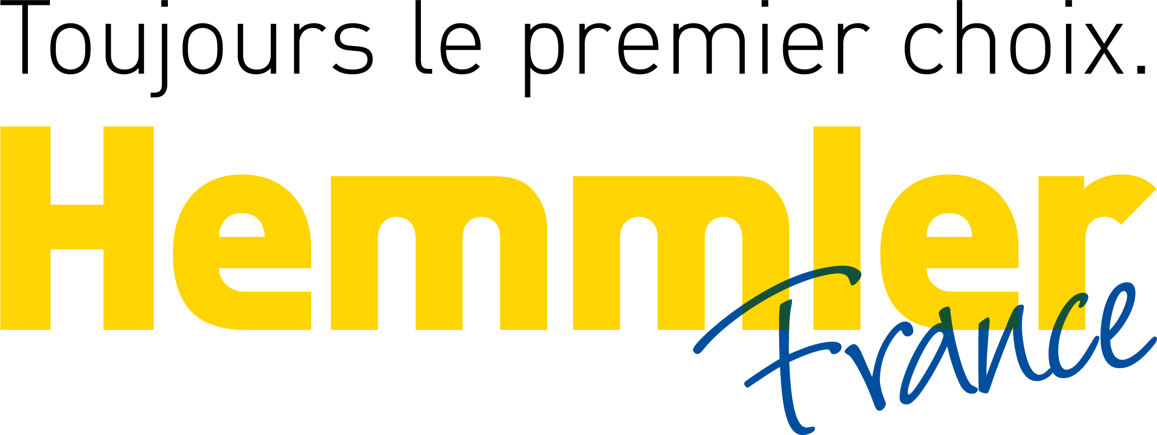 Logo_HEMMLER_France_4C Hemmler GmbH Schutterwald